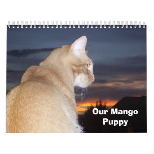 Mangovalp Kalender