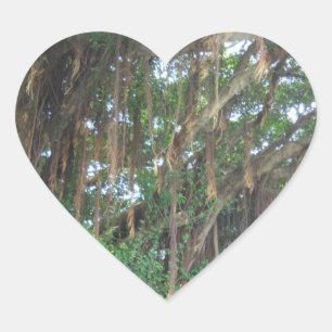 Mangrov Träd Heart Sticker Hjärtformat Klistermärke