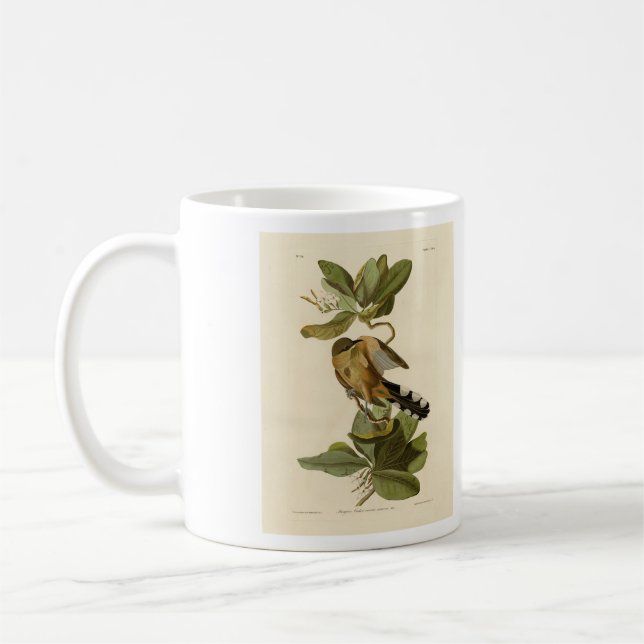 Mangrove Cuckoo från Audubon's Birds of America Kaffemugg (Vänster)