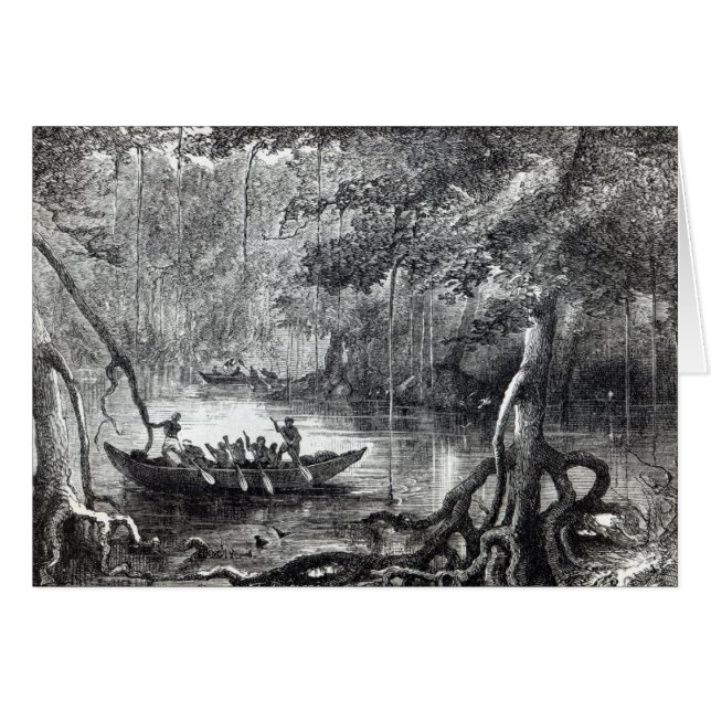 Mangrove Forest Hälsningskort (Framsidan Horizontal)
