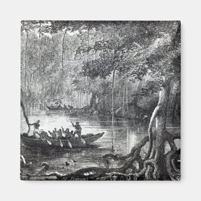 Mangrove Forest' Magnet (Framsidan)