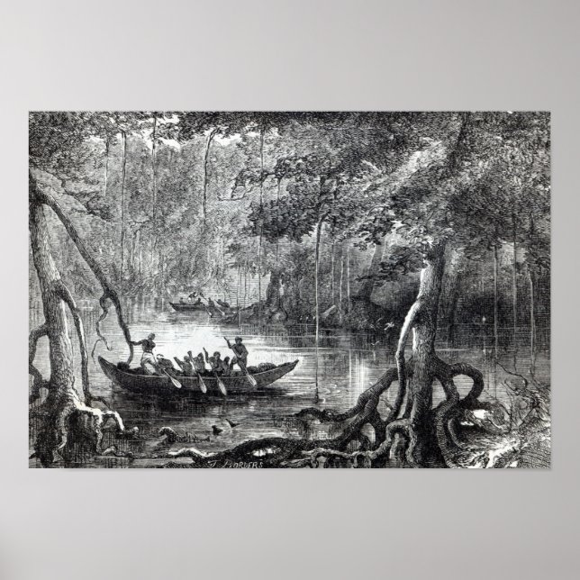 Mangrove Forest' Poster (Framsidan)