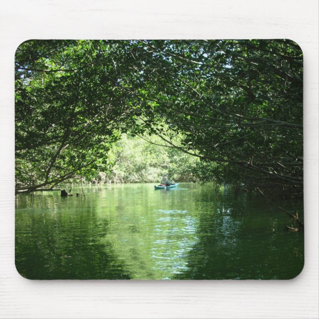 Mangrove Kayaking Musmatta (Framsidan)