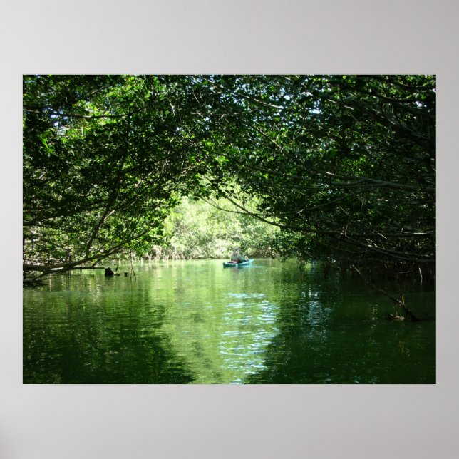 Mangrove Kayaking Poster (Framsidan)
