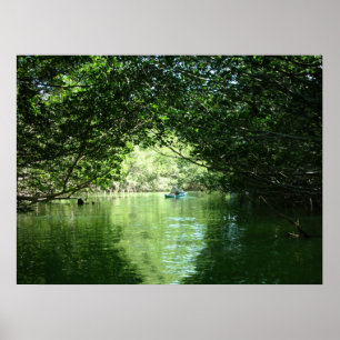 Mangrove som Kayaking Poster