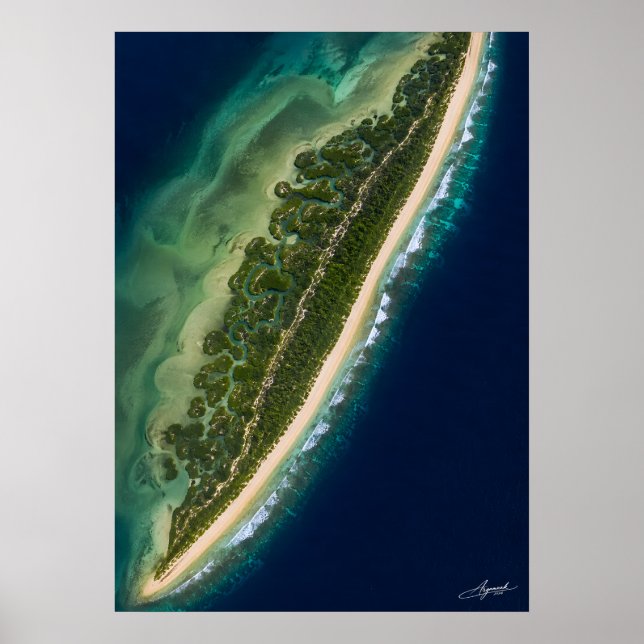 Mangrovelagun på barriärö - satellitvy poster (Framsidan)