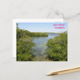 Mangroves Blue Ocean Waterway Nyckel Väster Florid Vykort
