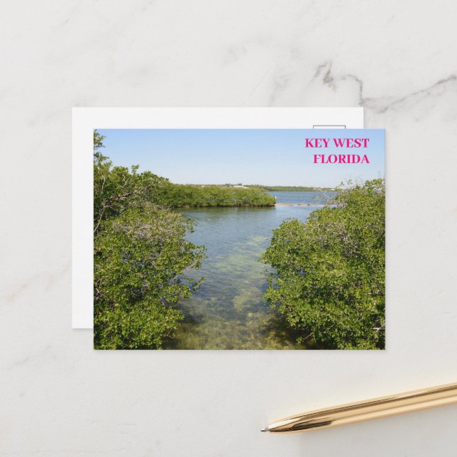 Mangroves Blue Ocean Waterway Nyckel Väster Florid Vykort (Fram/Back In Situ)