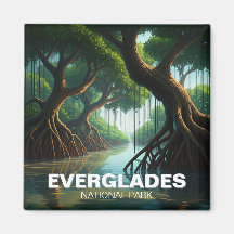 Mangroves Everglades nationalpark Florida Travel