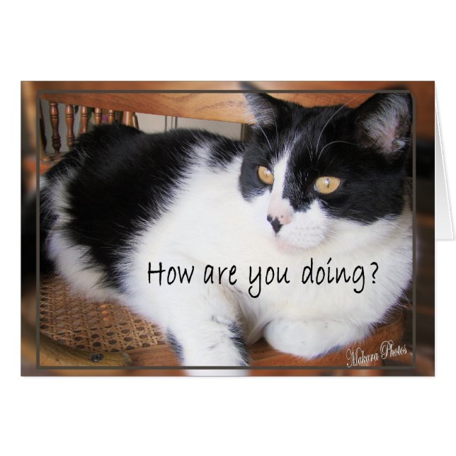 Mångsidigt avgör Kort-du Hälsningskort (Framsidan Horizontal)