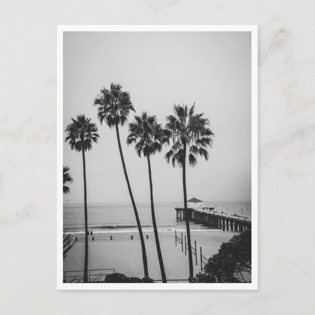 Manhattan Beach Pier och palmer svart & vit Vykort (Framsida)