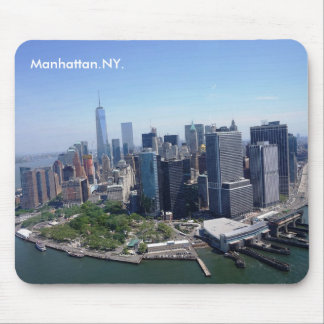 Manhattan horisont New York Musmatta
