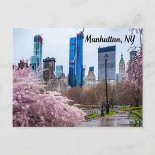 Manhattan, NY Cherry Blommar i Vår Vykort