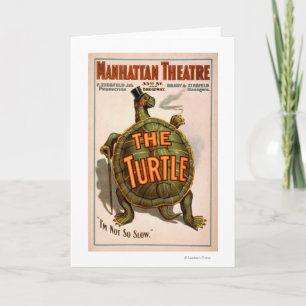 Manhattan Theatre New York Broadway sköldpaddan Kort