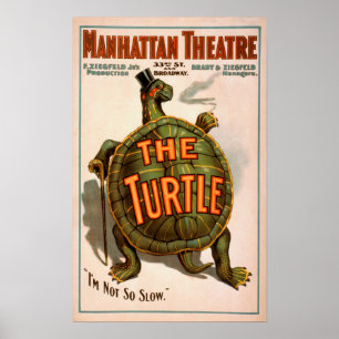 Manhattan Theatre New York Broadway sköldpaddan Poster