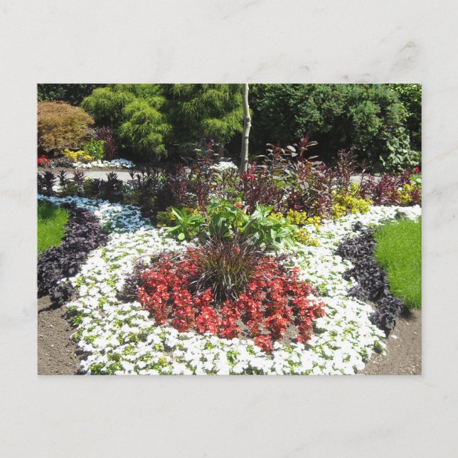 Manicured Garden Vykort (Framsida)