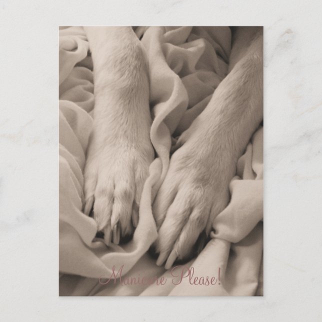 Manikbock ~ vykort (Framsida)