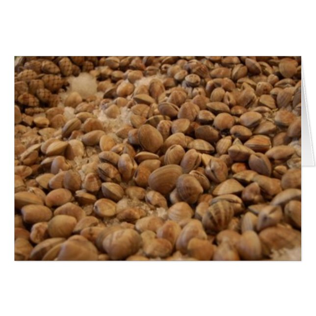 manila clams hälsningskort (Framsidan Horizontal)