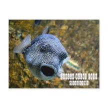 Manila Ocean Park i Filippinerna