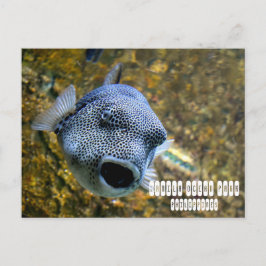 Manila Ocean Park i Filippinerna Vykort