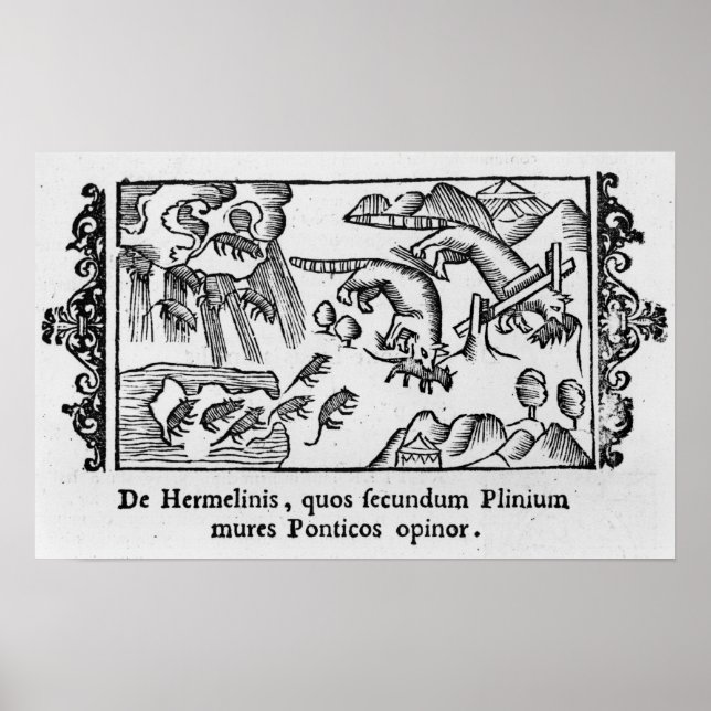 Manipulering av lemmeringar poster (Framsidan)