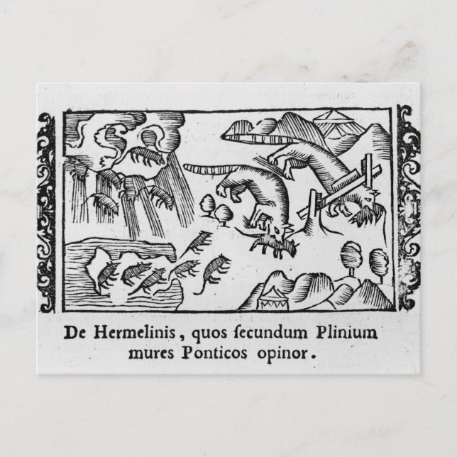 Manipulering av lemmeringar vykort (Framsida)