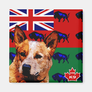 Manitoba Australian Cattle Hund Magnet