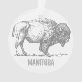 Manitoba Bison