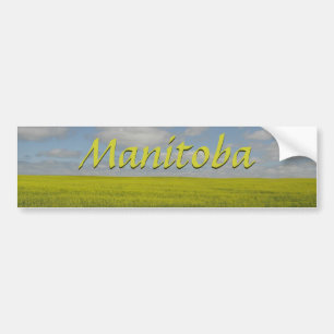 Manitoba Bumper Sticker Manitoba Souvenir Bildekal
