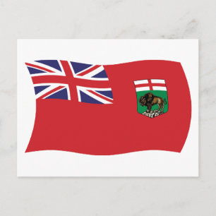 Manitoba Flagga Postkort Vykort