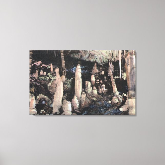 Manitou Vår, Colorado Canvastryck (Framsida)