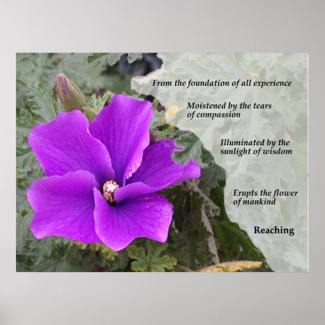 Mankinds blomma poster (Framsidan)