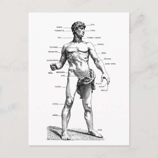 Manlig front vykort (Framsida)
