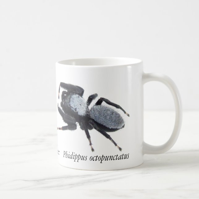 Manlig Great Basin hoppande spindel-mugg Kaffemugg (Höger)