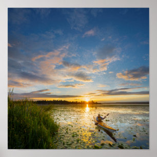 Manlig kajakroddare som paddlar en havskajak på st poster