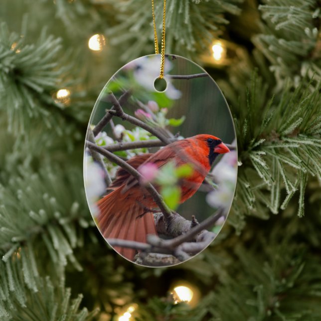 Manlig kardinal i Springtime Julgransprydnad Keramik (Träd)