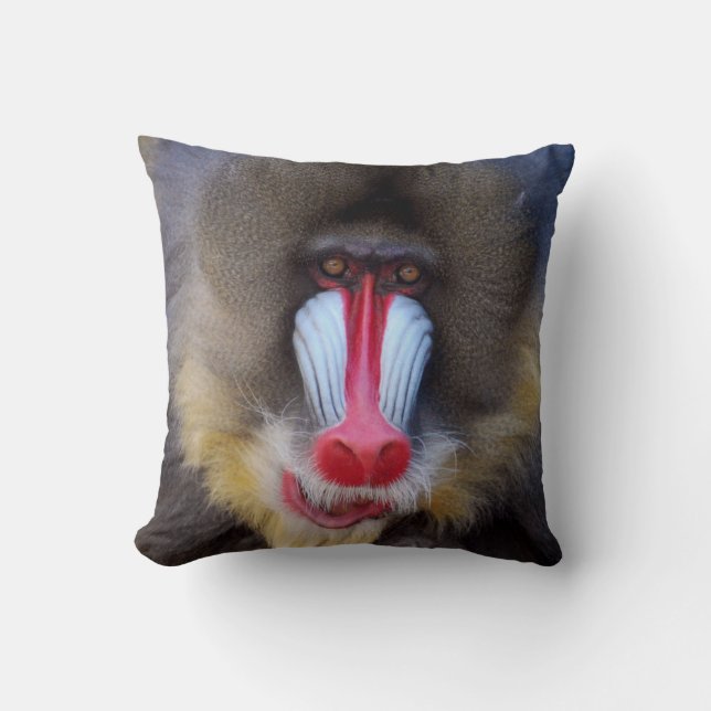 Manlig Mandrill Kudde (Framsida)