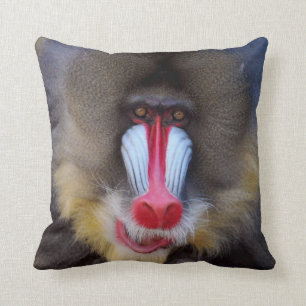 Manlig Mandrill Kudde