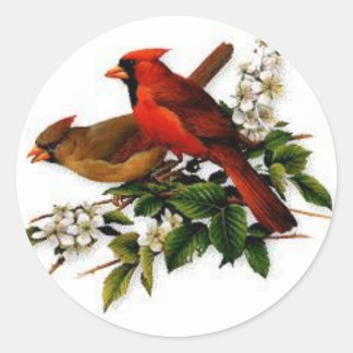 Manlig och kvinnlig kardinal på en blommande gren runt klistermärke