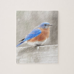 Manlig Östra Bluebird Pussel