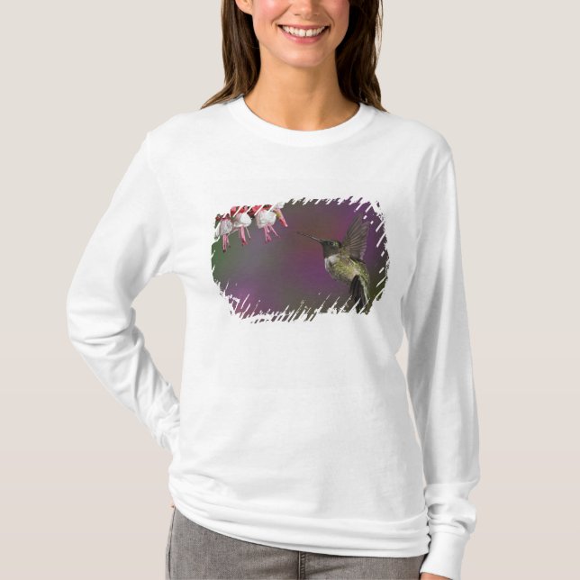 Manlig rubinhuvad kolibri t-shirt (Framsida)