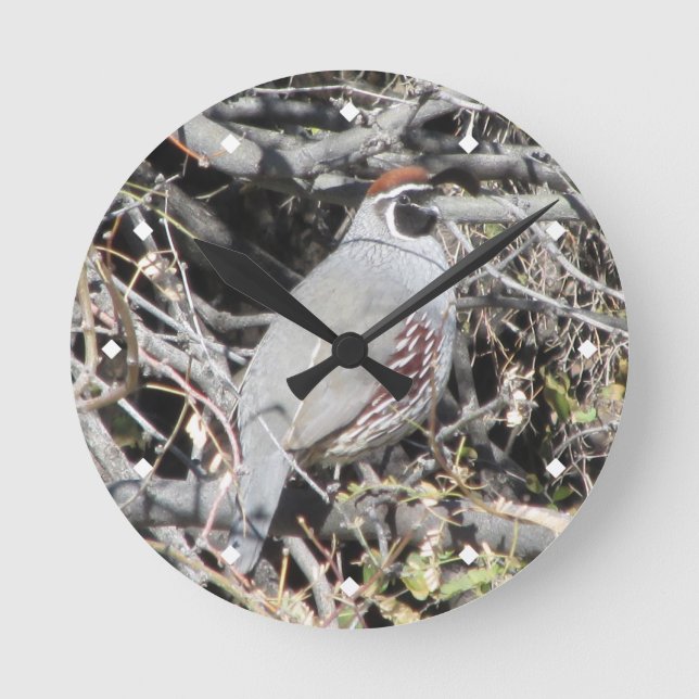 Manliga Gambels Quail-klocka Rund Klocka (Framsida)