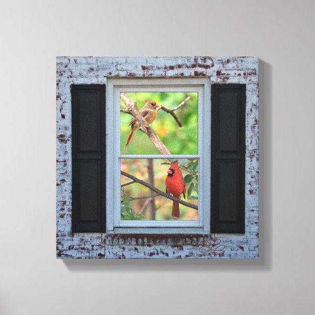 Manliga och kvinnliga kardinaler i fönster-/bröstv canvastryck (Framsida)