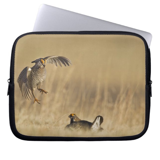 Manliga präriekycklingar vid lek i Loup County Laptop Sleeve (Framsidan)
