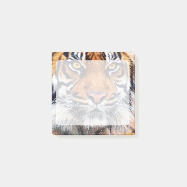 Manligt sibiskt tigerfoto post-it block (Framsida)