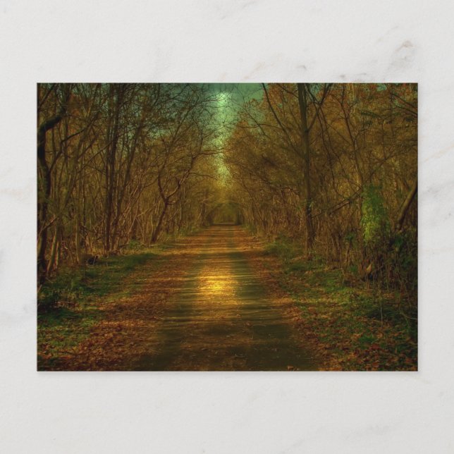 månljuspromenad Lynchburg City Trails Vykort (Framsida)