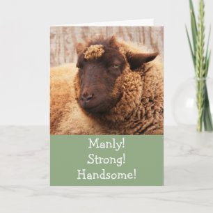 Manly Sheep Birthday Card Kort