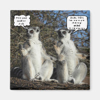 Mannequin Challenged Lemurs