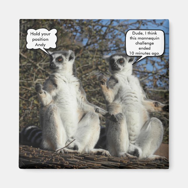 Mannequin Challenged Lemurs Magnet (Framsidan)