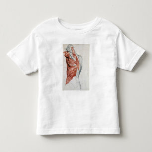 Människaanatomi; Muskler av torsoen och knuffar T Shirt